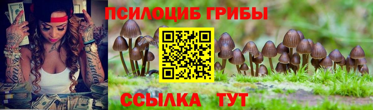 Псилоцибиновые грибы мицелий  Вход с VPN  Ачинск 
