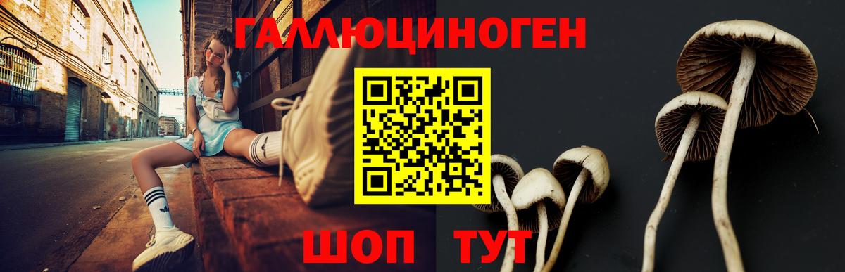 Псилоцибиновые грибы Magic Shrooms Ачинск
